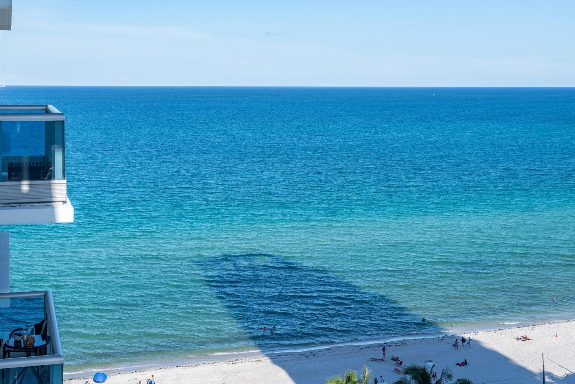 Bluebird Suites Monte Carlo Майами-Бич Номер фото